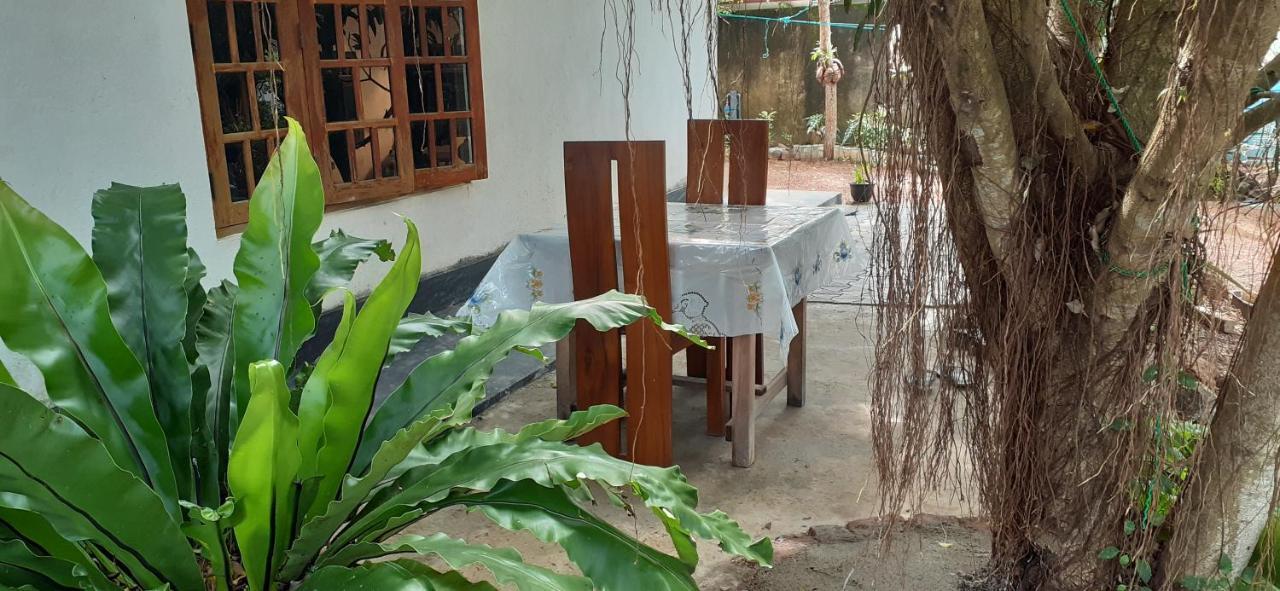 Bisandu Guesthouse ميريسا المظهر الخارجي الصورة